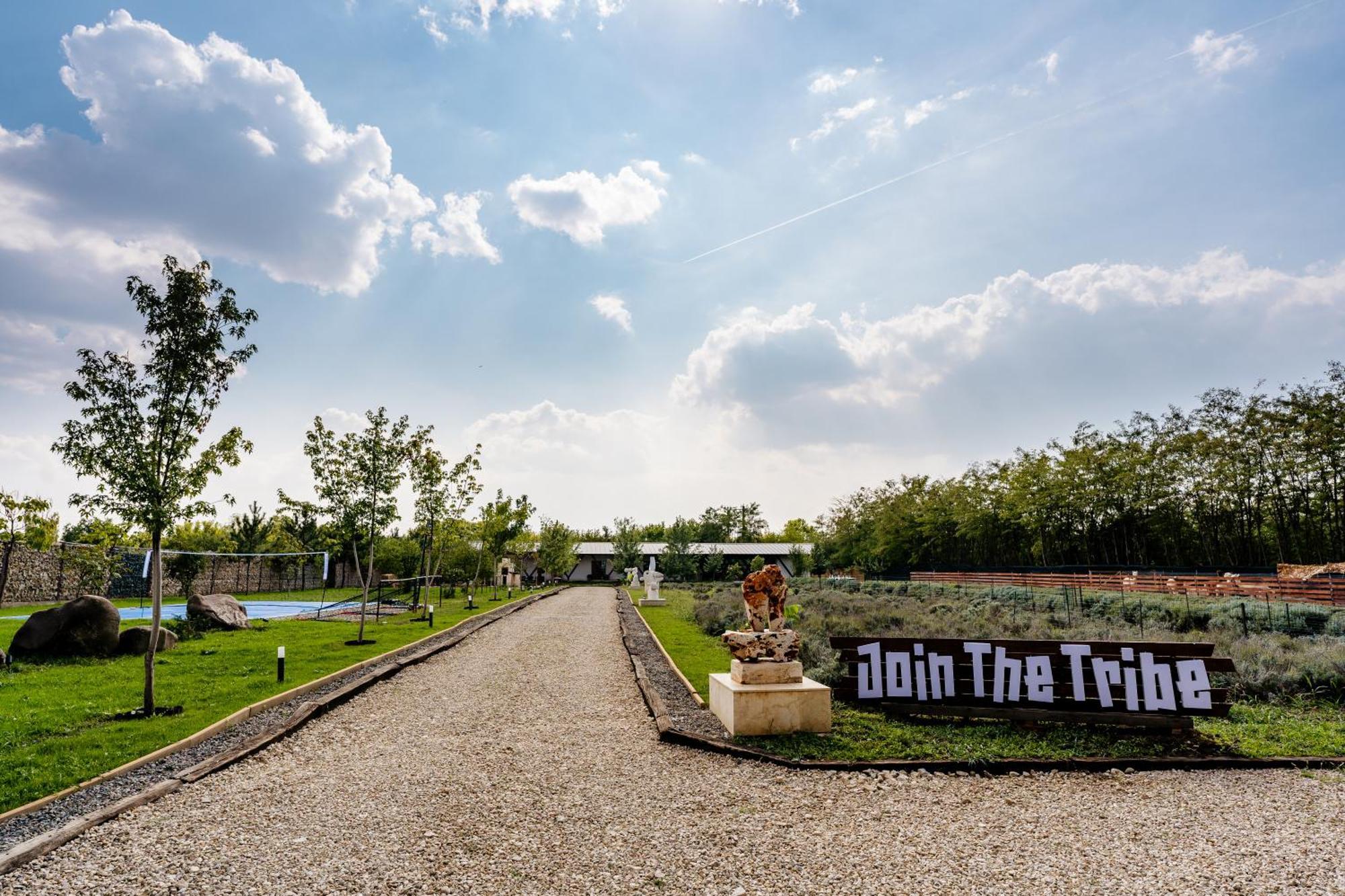The Tribe Alpaca Retreat Hotel Branesti Exterior photo