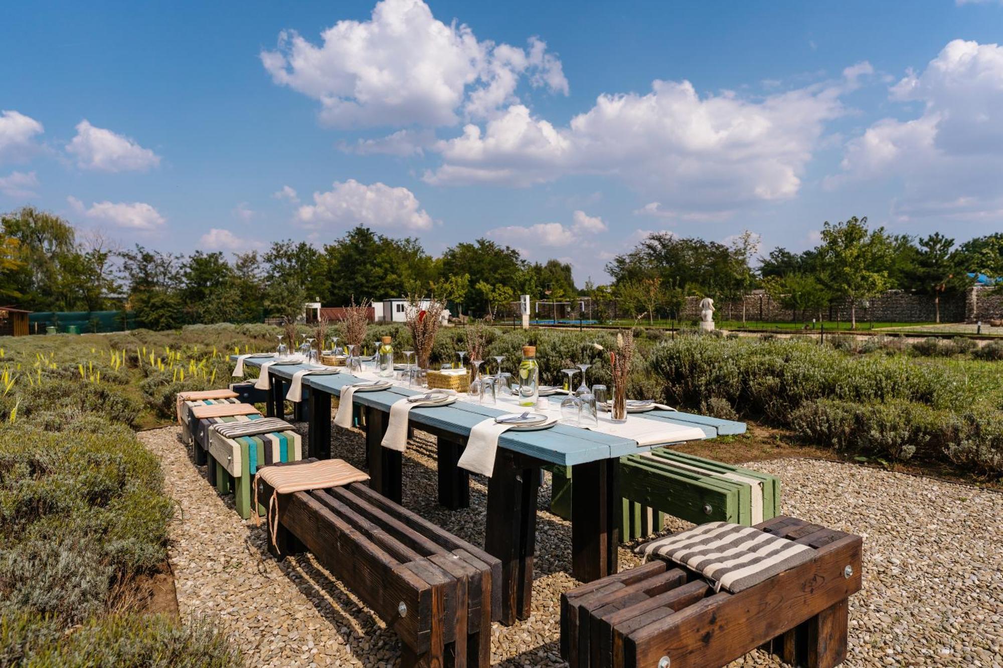 The Tribe Alpaca Retreat Hotel Branesti Exterior photo