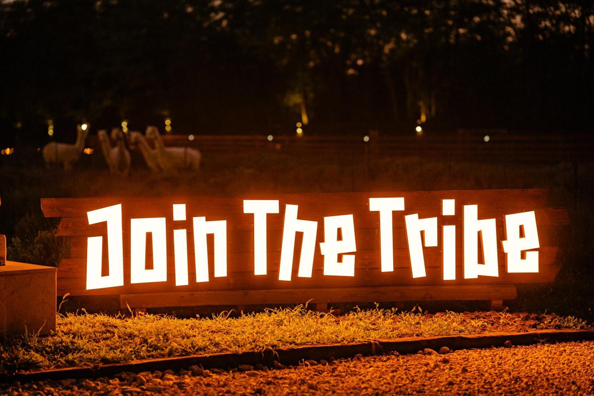 The Tribe Alpaca Retreat Hotel Branesti Exterior photo