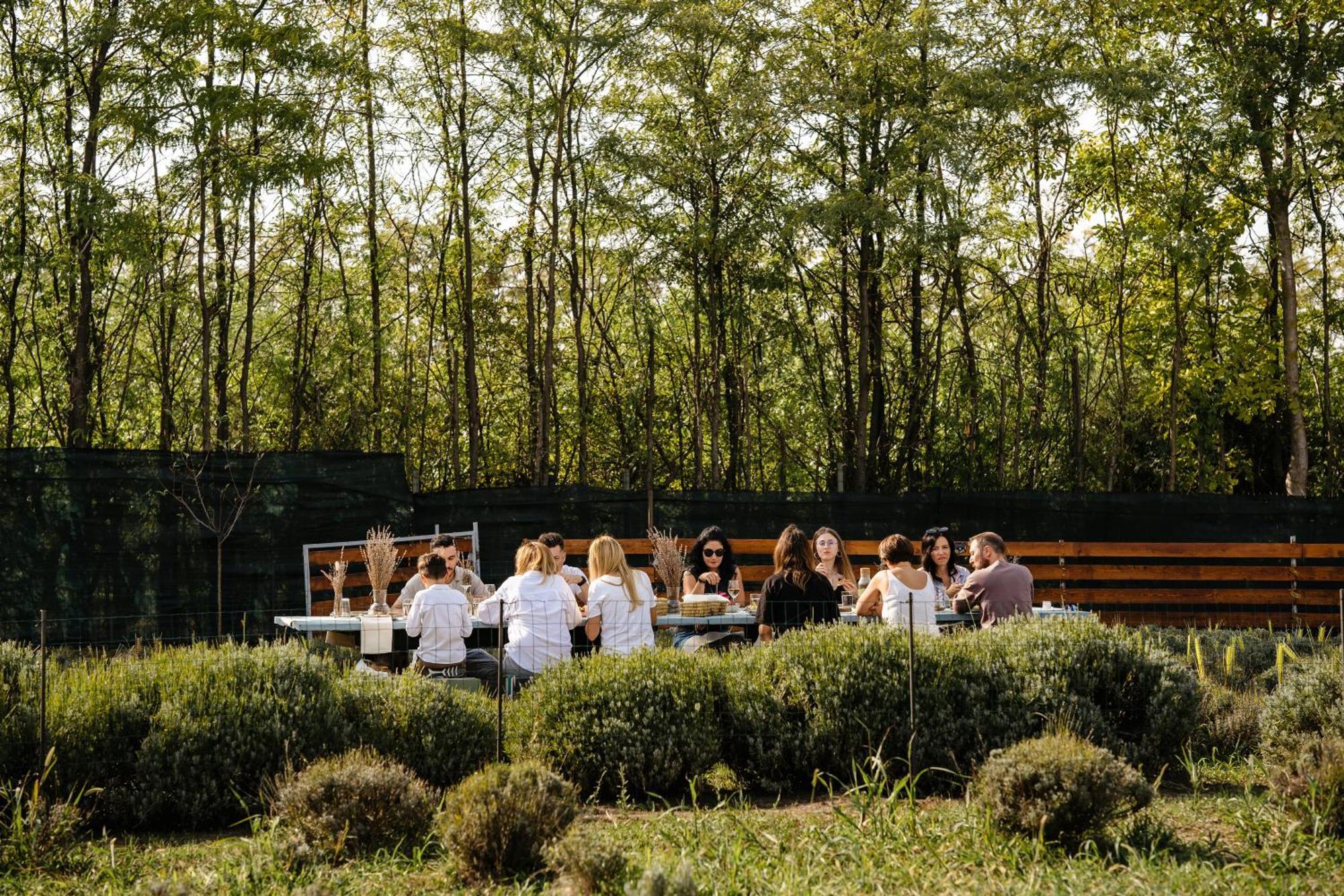 The Tribe Alpaca Retreat Hotel Branesti Exterior photo